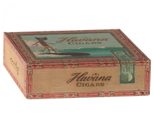 Lade das Bild in den Galerie-Viewer, Mama und Papa Mäuse in Box