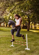Lade das Bild in den Galerie-Viewer, Steckenpferd mit offenem Mund - verschd. Farben
