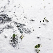 Lade das Bild in den Galerie-Viewer, matabooks - Samenbuch Graspapier, verschiedene Designs