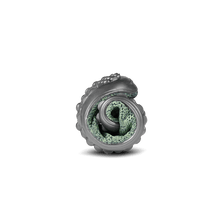 Lade das Bild in den Galerie-Viewer, Leguanito GO: kiwi