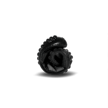 Lade das Bild in den Galerie-Viewer, Leguano SPINWYN