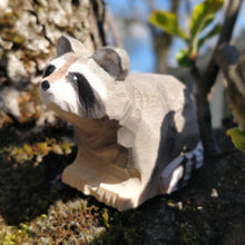 Lade das Bild in den Galerie-Viewer, Wudimals Waschbär Holzfigur