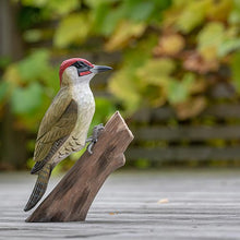 Lade das Bild in den Galerie-Viewer, Grünspecht Wildlife Garden