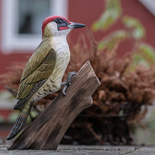 Lade das Bild in den Galerie-Viewer, Grünspecht Wildlife Garden