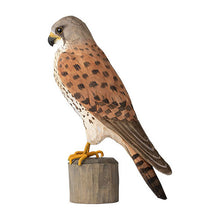 Lade das Bild in den Galerie-Viewer, Turmfalke Wildlife Garden