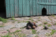 Lade das Bild in den Galerie-Viewer, DIY-Äppel-Set für kleine Pferdepfleger