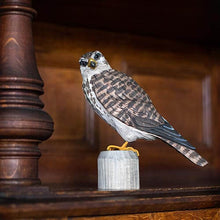 Lade das Bild in den Galerie-Viewer, Merlin Wildlife Garden
